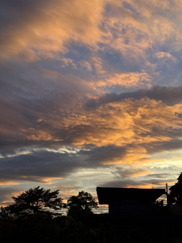 Golden clouds glow above the silhouetted roofline and trees in Dulan before Typhoon Champi.