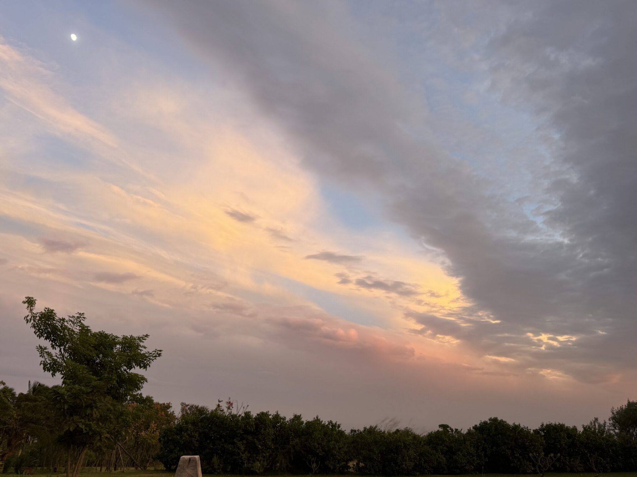 A small moon above soft pink and gold clouds over the garden in Dulan.