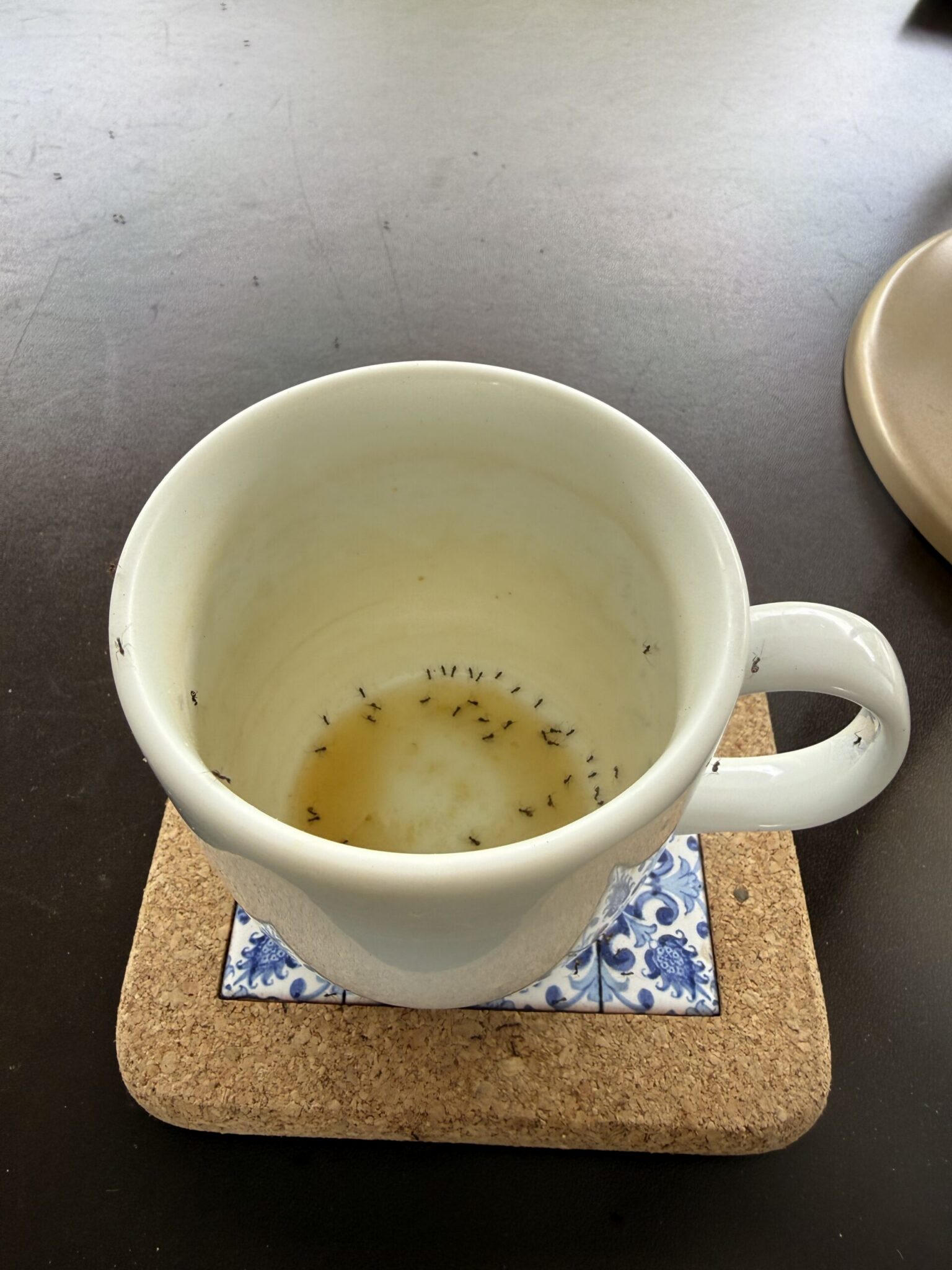 螞蟻聚在杯底，分享剩下的蜂蜜檸檬。