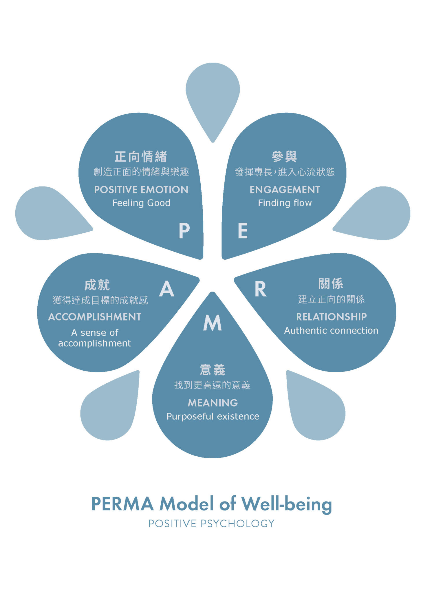 正向心理學之父馬丁.賽里格曼(Martin Seligman)的「綻放人生」(PERMA)理論,聚焦在人生美好的面向,自然而然的帶出輕鬆正向的氛圍。圖片來源:作者提供。